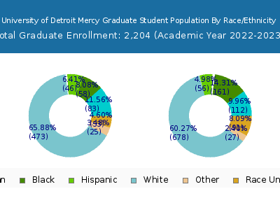 University of Detroit Mercy 2023 Graduate Enrollment by Gender and Race chart