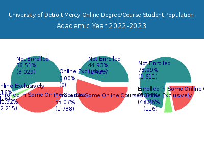 University of Detroit Mercy 2023 Online Student Population chart