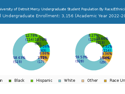 University of Detroit Mercy 2023 Undergraduate Enrollment by Gender and Race chart