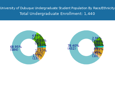 University of Dubuque 2025 Undergraduate Enrollment by Gender and Race chart