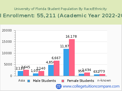 University of Florida 2023 Student Population by Gender and Race chart