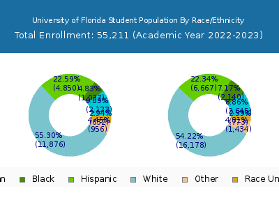 University of Florida 2023 Student Population by Gender and Race chart