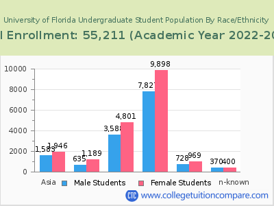 University of Florida 2023 Undergraduate Enrollment by Gender and Race chart