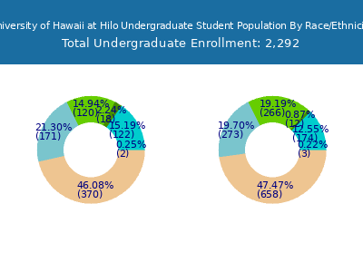University of Hawaii at Hilo 2025 Undergraduate Enrollment by Gender and Race chart