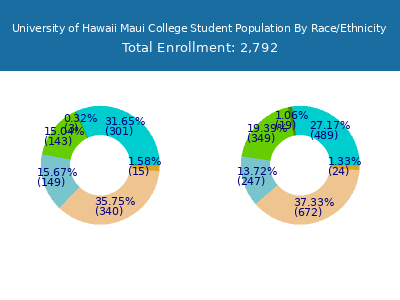 University of Hawaii Maui College 2025 Student Population by Gender and Race chart