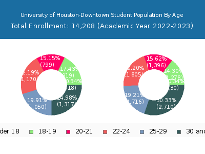 University of Houston-Downtown 2023 Student Population Age Diversity Pie chart