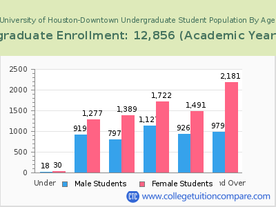 University of Houston-Downtown 2023 Undergraduate Enrollment by Age chart