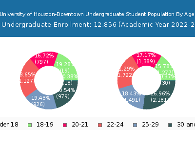 University of Houston-Downtown 2023 Undergraduate Enrollment Age Diversity Pie chart