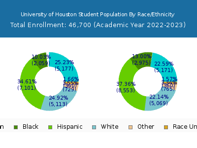 University of Houston 2023 Student Population by Gender and Race chart