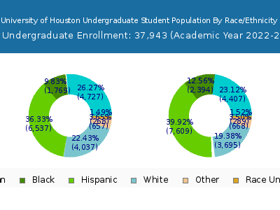 University of Houston 2023 Undergraduate Enrollment by Gender and Race chart