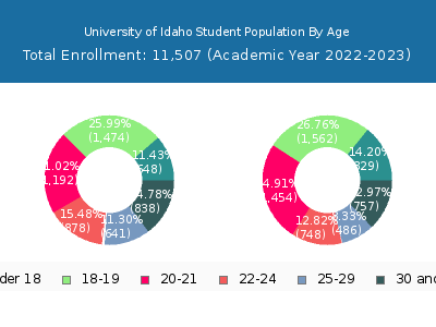 University of Idaho 2023 Student Population Age Diversity Pie chart