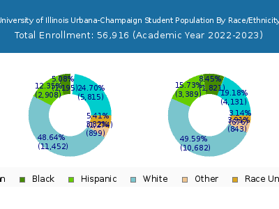 University of Illinois Urbana-Champaign 2023 Student Population by Gender and Race chart