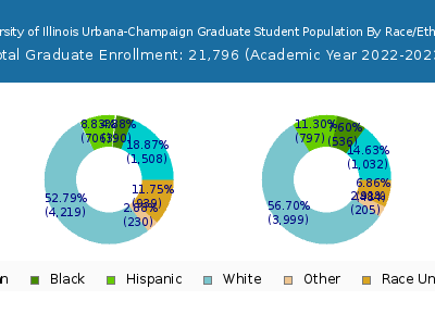 University of Illinois Urbana-Champaign 2023 Graduate Enrollment by Gender and Race chart