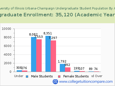 University of Illinois Urbana-Champaign 2023 Undergraduate Enrollment by Age chart