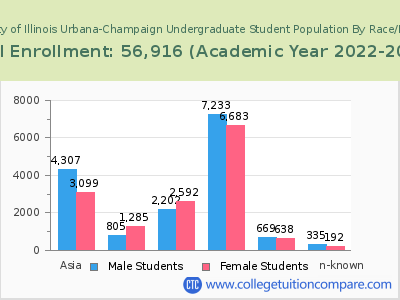 University of Illinois Urbana-Champaign 2023 Undergraduate Enrollment by Gender and Race chart