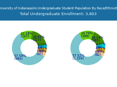 University of Indianapolis 2025 Undergraduate Enrollment by Gender and Race chart