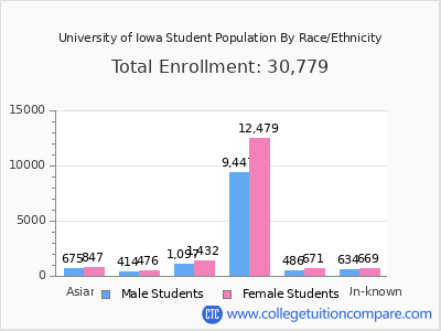 University of Iowa 2025 Student Population by Gender and Race chart