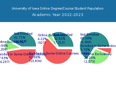 University of Iowa 2023 Online Student Population chart