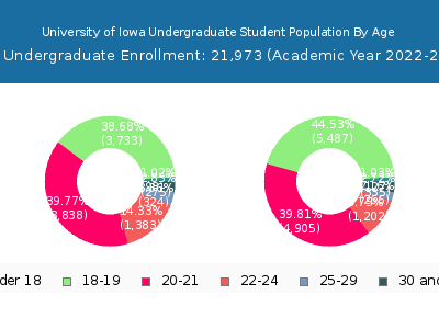University of Iowa 2023 Undergraduate Enrollment Age Diversity Pie chart