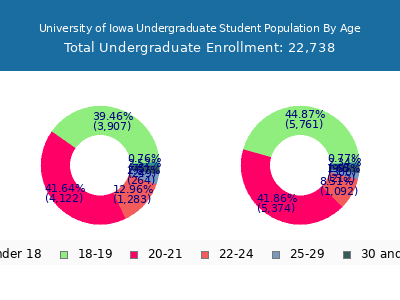 University of Iowa 2025 Undergraduate Enrollment Age Diversity Pie chart