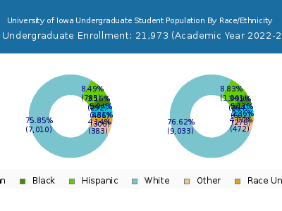University of Iowa 2023 Undergraduate Enrollment by Gender and Race chart