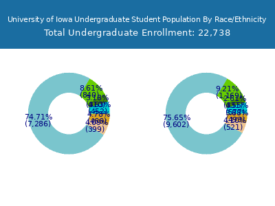 University of Iowa 2025 Undergraduate Enrollment by Gender and Race chart