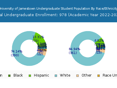 University of Jamestown 2023 Undergraduate Enrollment by Gender and Race chart