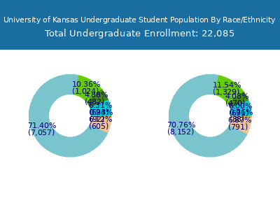 University of Kansas 2025 Undergraduate Enrollment by Gender and Race chart