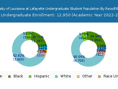 University of Louisiana at Lafayette 2023 Undergraduate Enrollment by Gender and Race chart