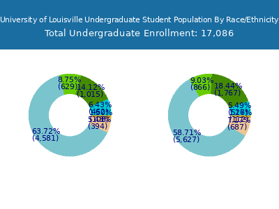 University of Louisville 2025 Undergraduate Enrollment by Gender and Race chart