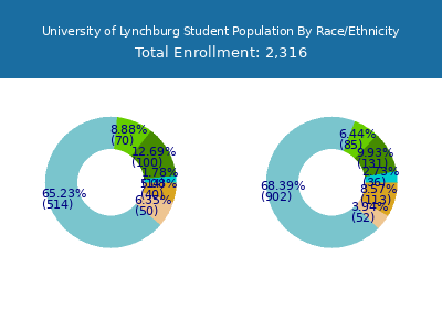 University of Lynchburg 2025 Student Population by Gender and Race chart