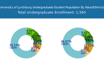 University of Lynchburg 2025 Undergraduate Enrollment by Gender and Race chart