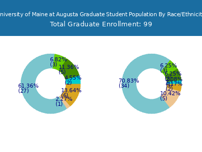 University of Maine at Augusta 2025 Graduate Enrollment by Gender and Race chart