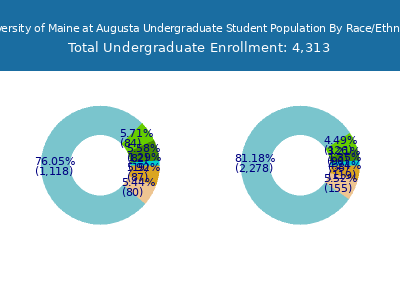 University of Maine at Augusta 2025 Undergraduate Enrollment by Gender and Race chart