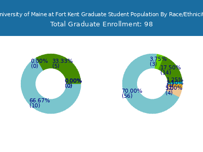 University of Maine at Fort Kent 2025 Graduate Enrollment by Gender and Race chart