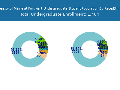 University of Maine at Fort Kent 2025 Undergraduate Enrollment by Gender and Race chart