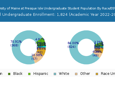 University of Maine at Presque Isle 2023 Undergraduate Enrollment by Gender and Race chart