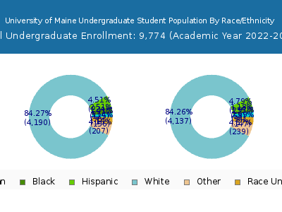 University of Maine 2023 Undergraduate Enrollment by Gender and Race chart