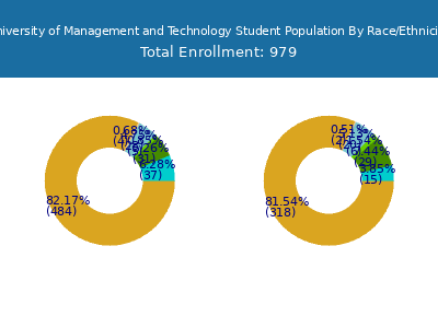 University of Management and Technology 2025 Student Population by Gender and Race chart