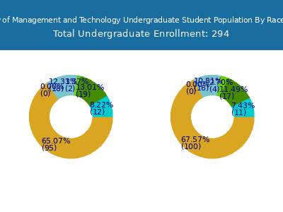 University of Management and Technology 2025 Undergraduate Enrollment by Gender and Race chart