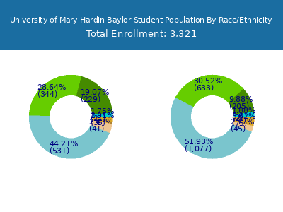 University of Mary Hardin-Baylor 2025 Student Population by Gender and Race chart
