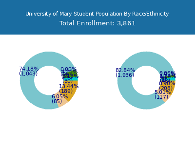 University of Mary 2025 Student Population by Gender and Race chart