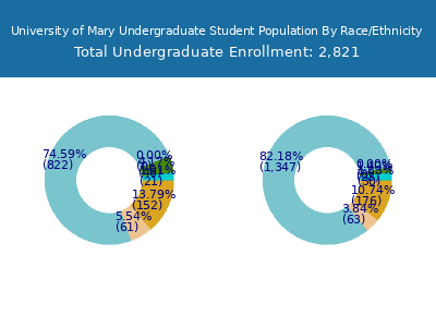 University of Mary 2025 Undergraduate Enrollment by Gender and Race chart