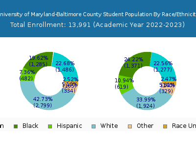 University of Maryland-Baltimore County 2023 Student Population by Gender and Race chart