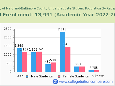University of Maryland-Baltimore County 2023 Undergraduate Enrollment by Gender and Race chart