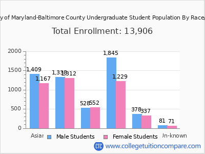 University of Maryland-Baltimore County 2025 Undergraduate Enrollment by Gender and Race chart