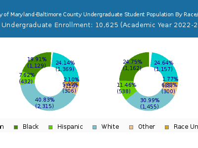 University of Maryland-Baltimore County 2023 Undergraduate Enrollment by Gender and Race chart