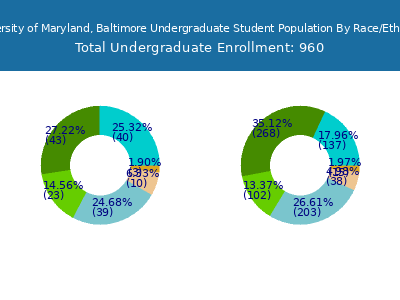 University of Maryland, Baltimore 2025 Undergraduate Enrollment by Gender and Race chart