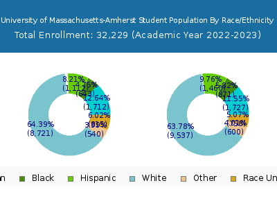 University of Massachusetts-Amherst 2023 Student Population by Gender and Race chart