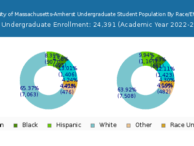 University of Massachusetts-Amherst 2023 Undergraduate Enrollment by Gender and Race chart
